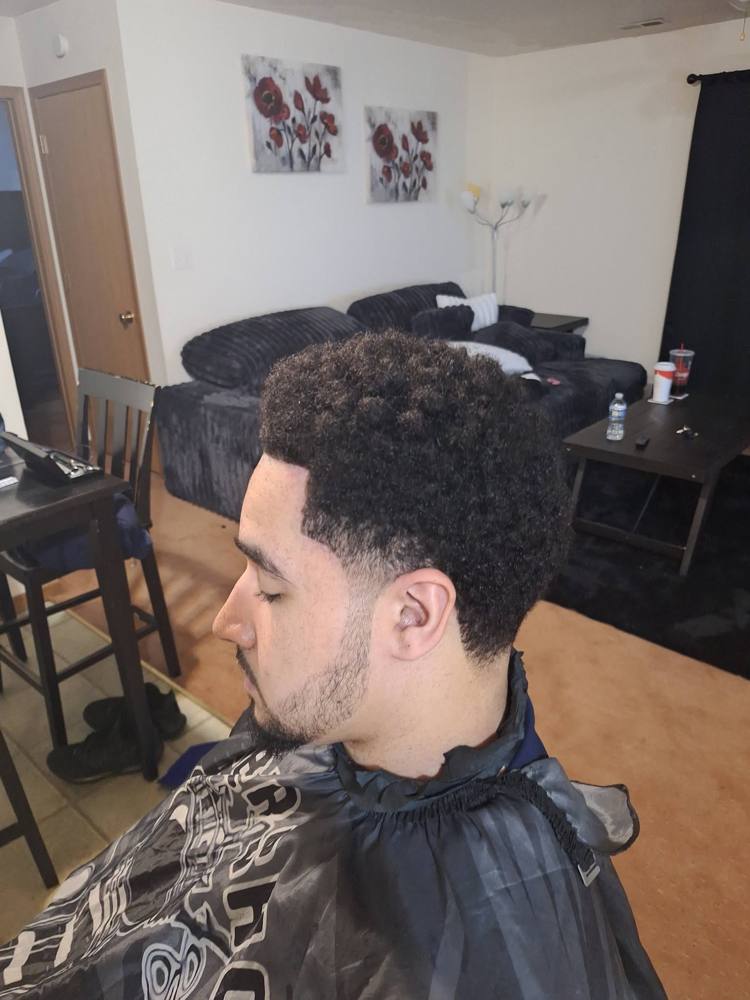 Profile of a curly top with a taper and temple line